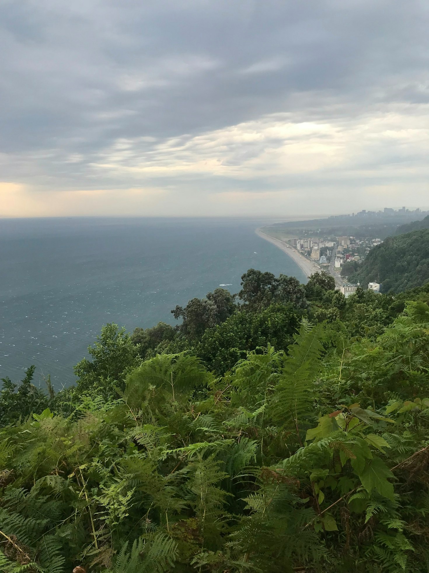 Top Features of Coral Breeze Villa’s Infinity Pool